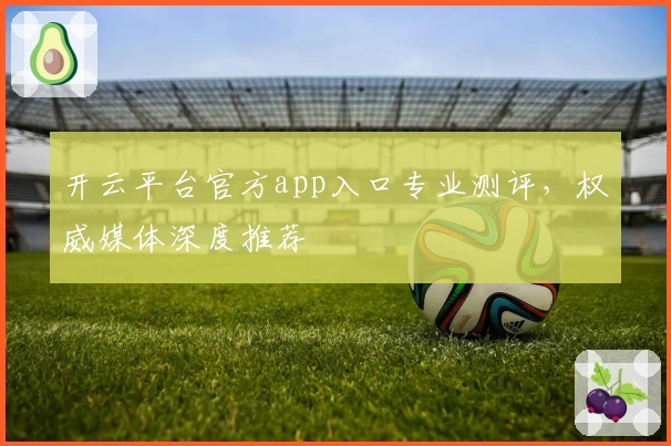 开云平台官方app入口专业测评，权威媒体深度推荐