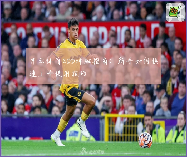 开云体育app详细指南:新手如何快速上手使用技巧