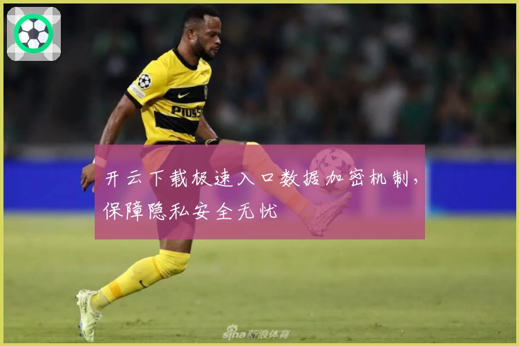 开云下载极速入口数据加密机制，保障隐私安全无忧