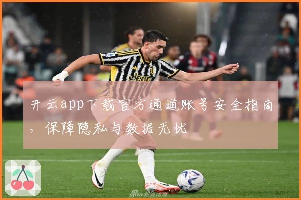 开云app下载官方通道账号安全指南，保障隐私与数据无忧