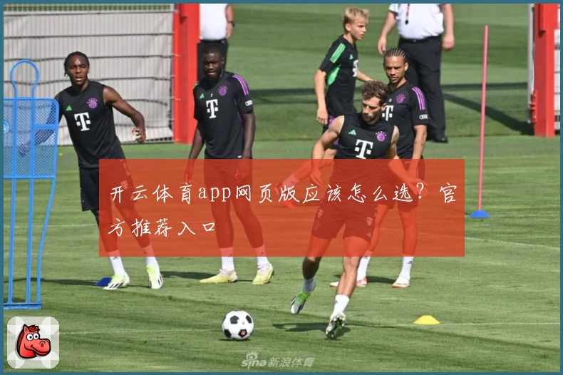 开云体育app网页版应该怎么选？官方推荐入口
