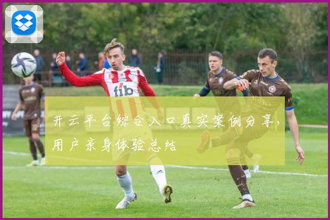 开云平台综合入口真实案例分享，用户亲身体验总结